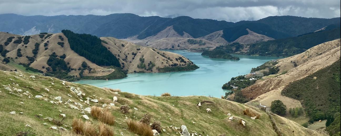 Grassy hills and green waters of Cable bay, Nelson, New Zealand